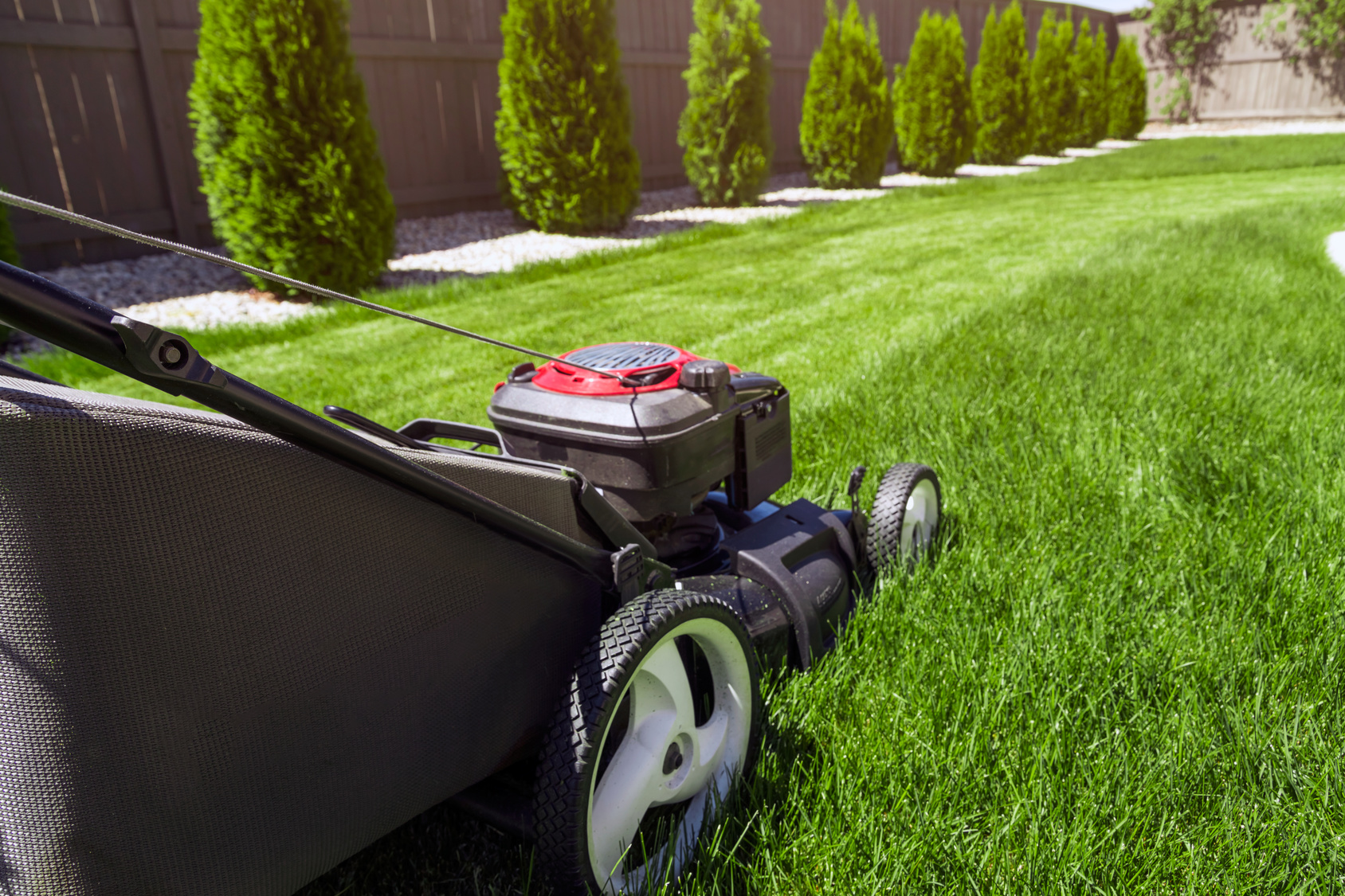 6 Steps to Having the Best Lawn in the Neighborhood