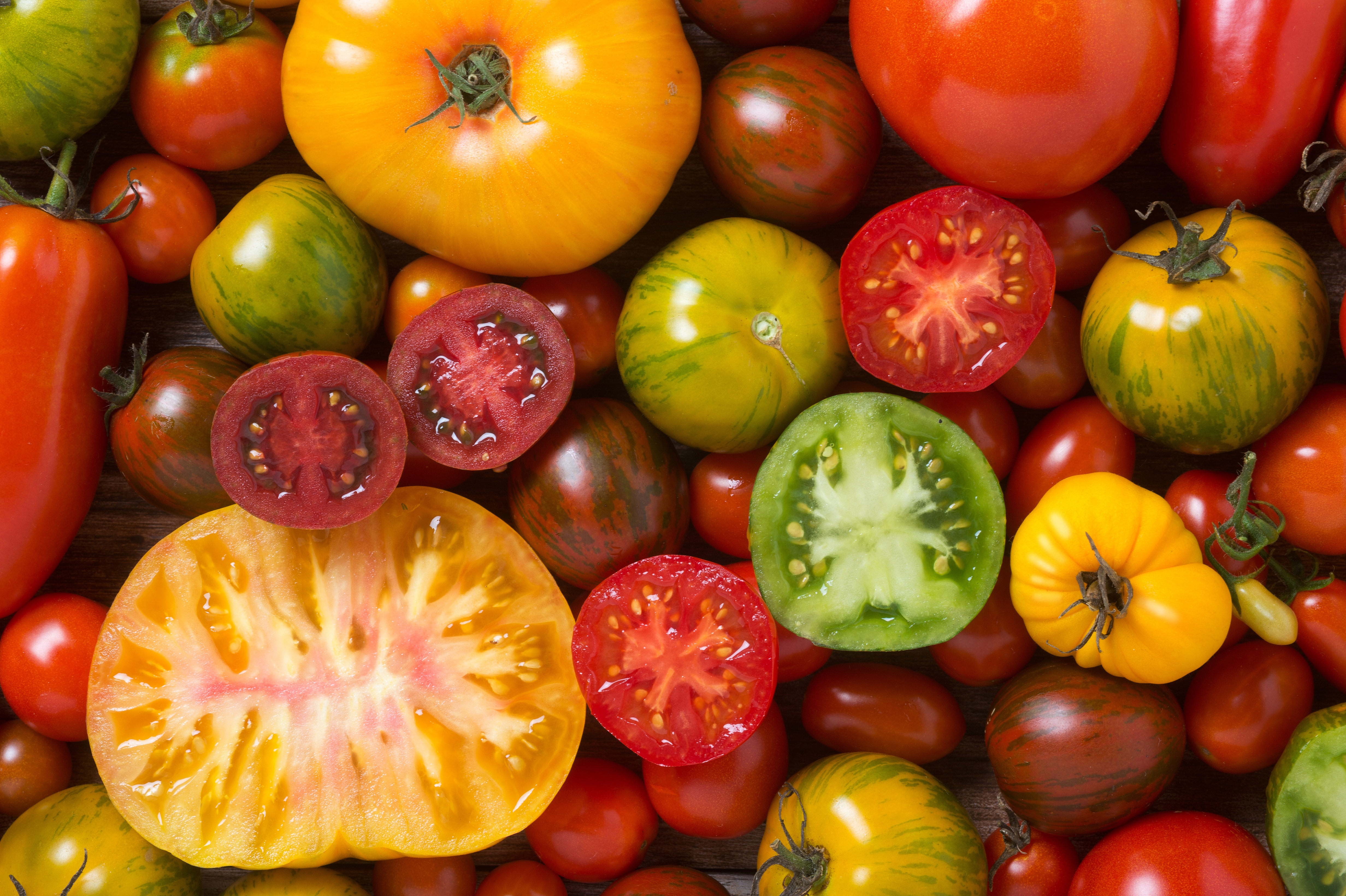 Tomato Gardening Tips From Ace Hardware NH