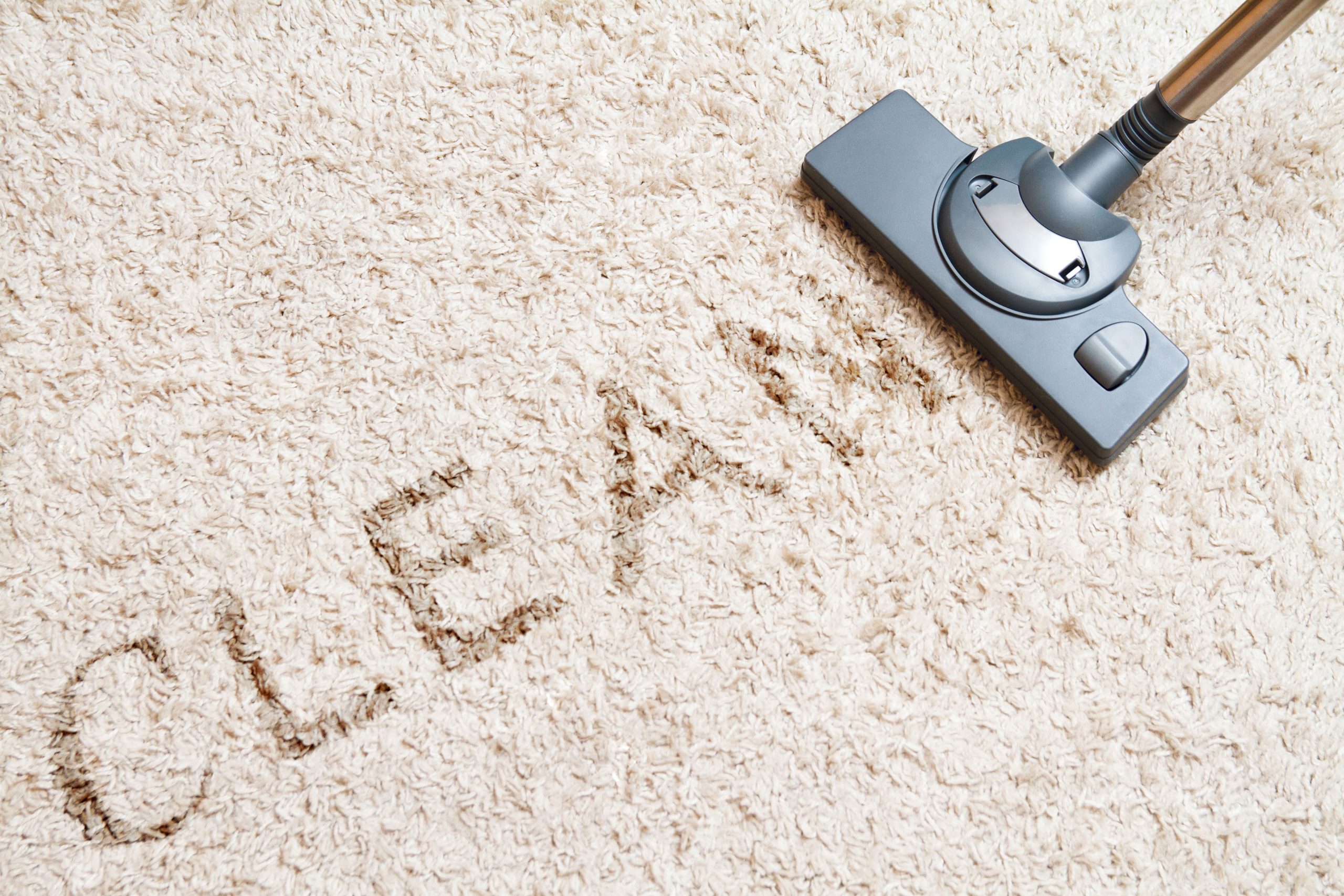 How Often Should You Deep Clean Your Carpets?