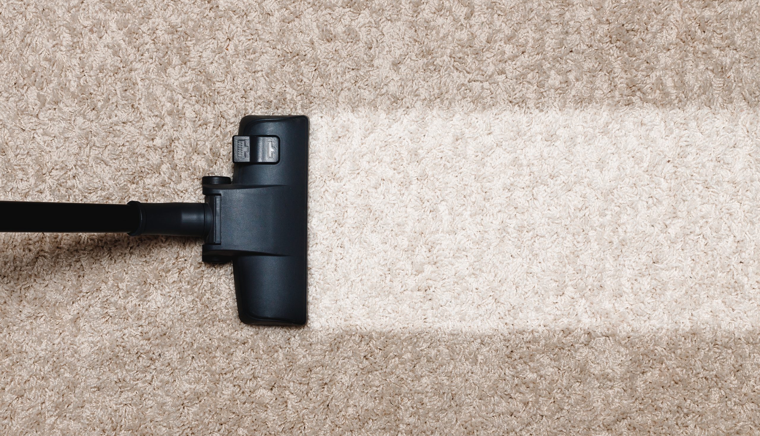 4 Reasons To Rent A Carpet Cleaner