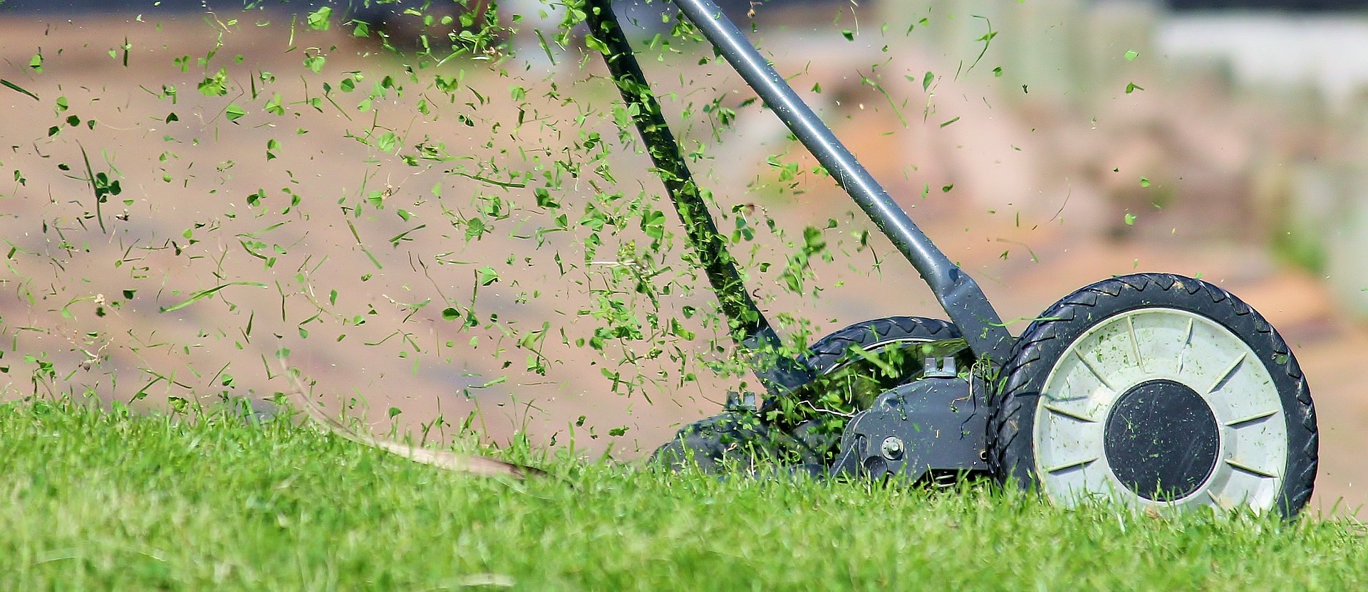 Keep Your Lawn Thriving This Winter