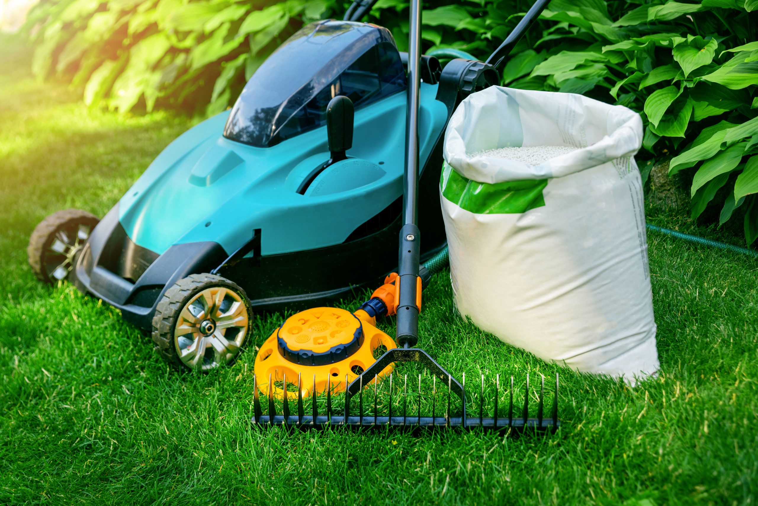September Lawn Care Tips from Your Ace Hardware