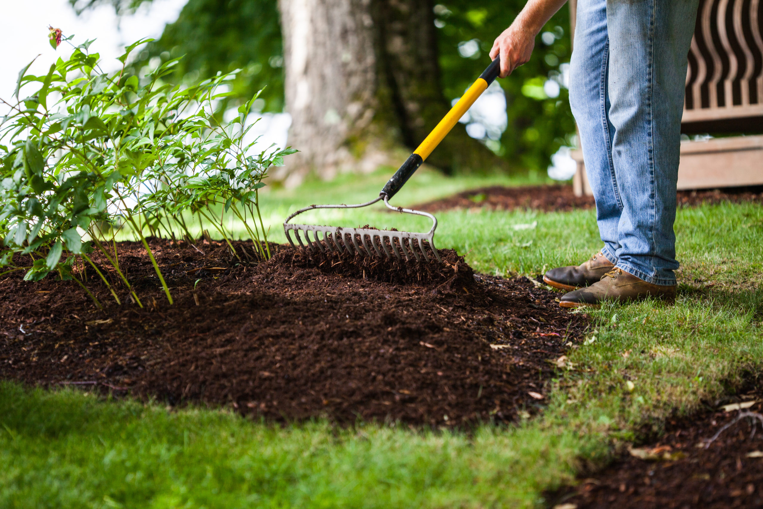 Mulch Tips from Your “Ace Hardware Near Me”