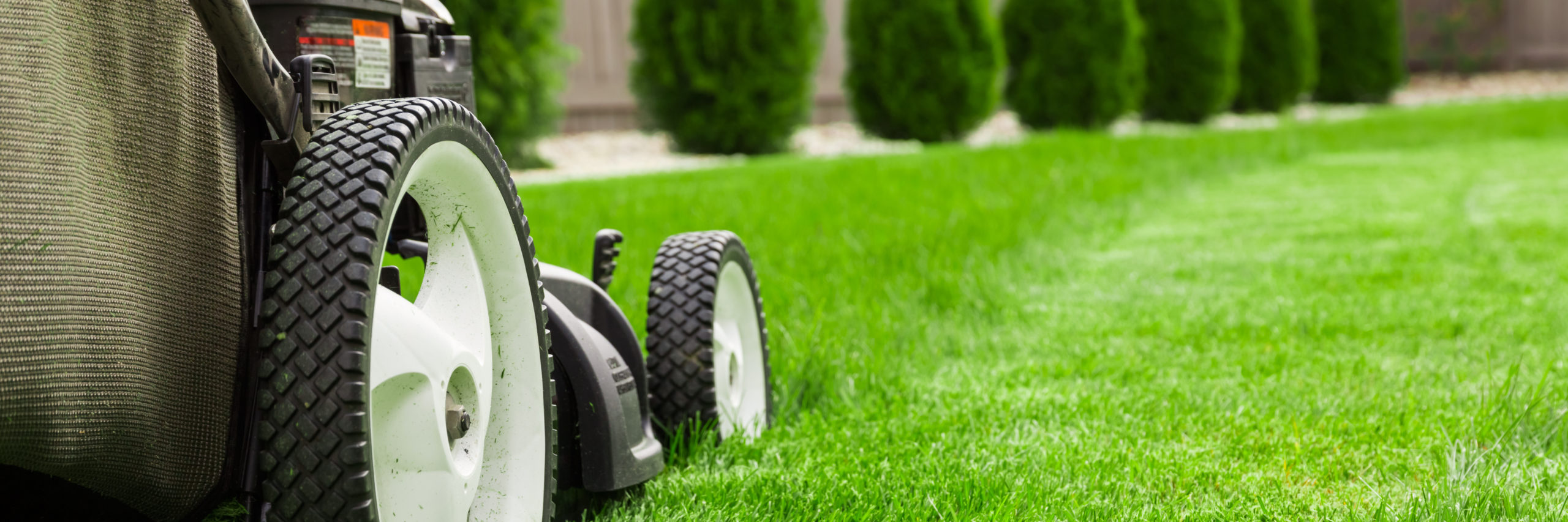 Step Up Your Lawn Care Game